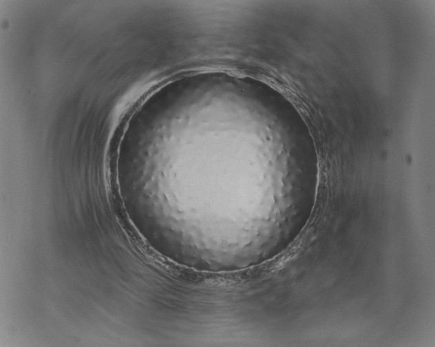 X0000071840294200607141732