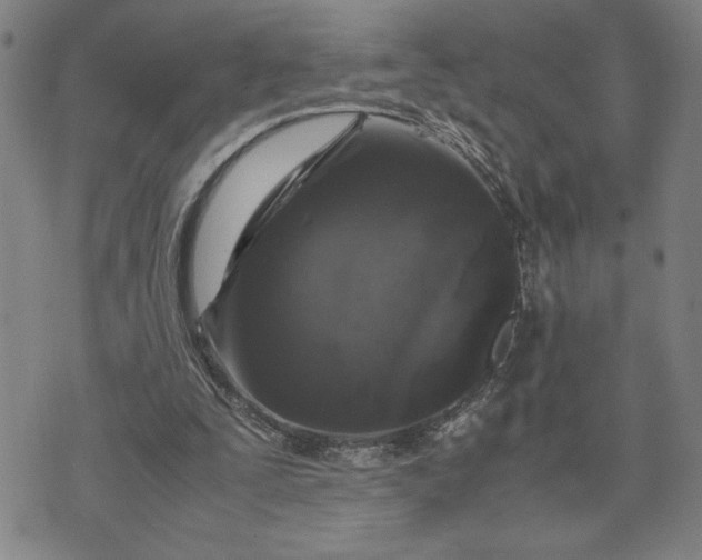 X0000071840295200607141732