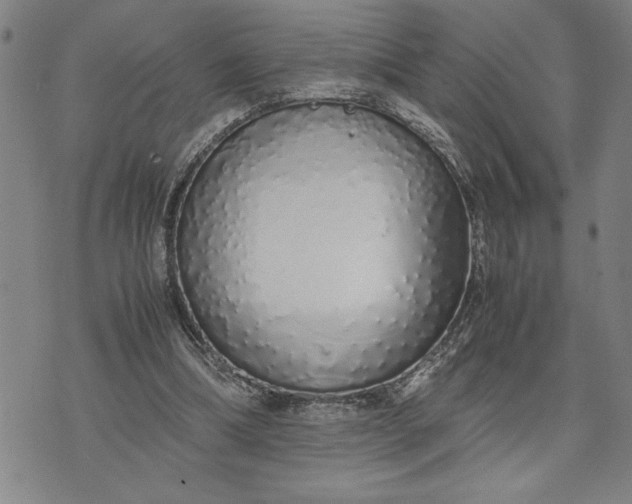 X0000071840298200607141732