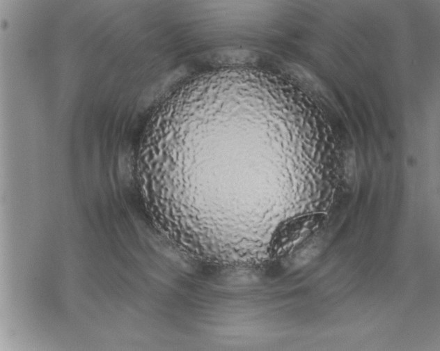 X0000071840326200607141731