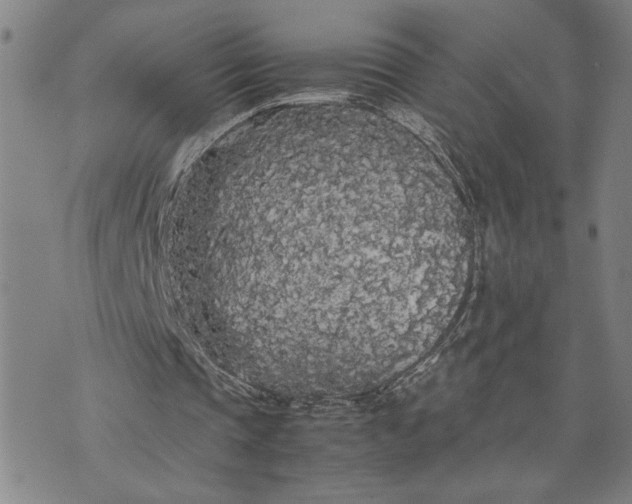 X0000071840337200607141730