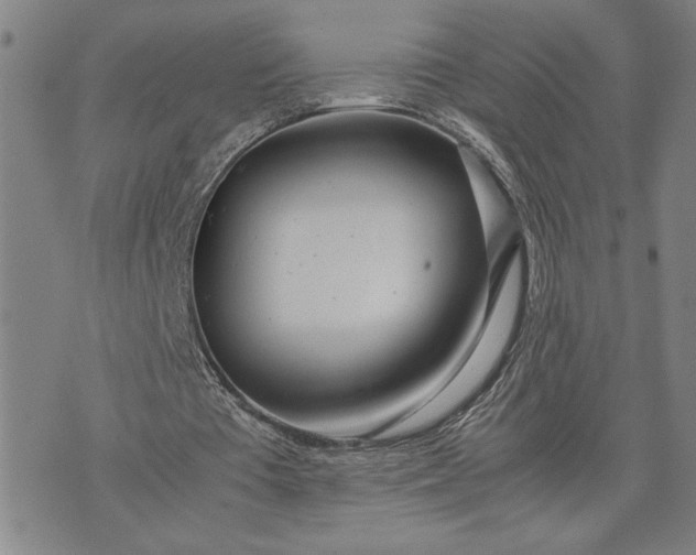 X0000071840385200607141730