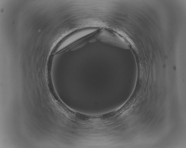 X0000071840391200607141730