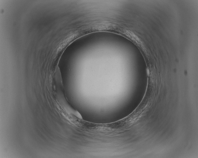 X0000071840393200607141730