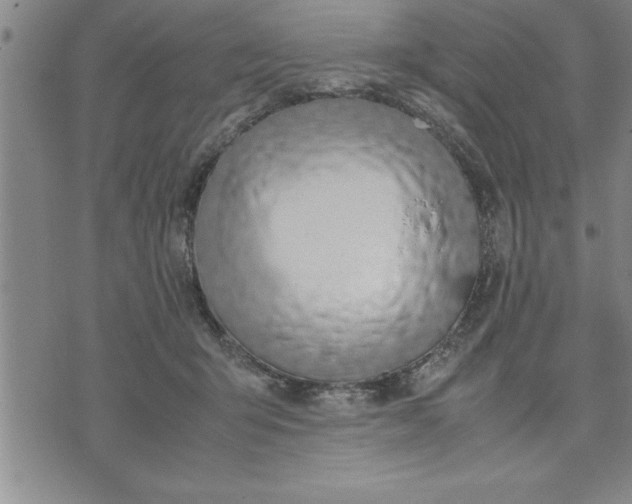 X0000071840415200607141730