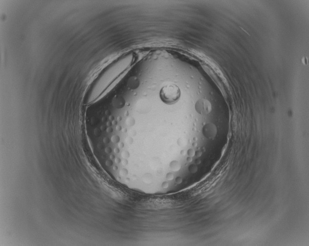 X0000071840437200607141729