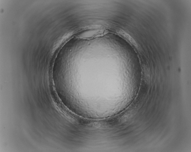 X0000071840482200607141729