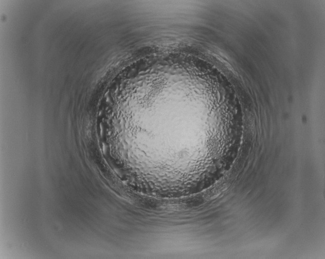 X0000071840499200607141729