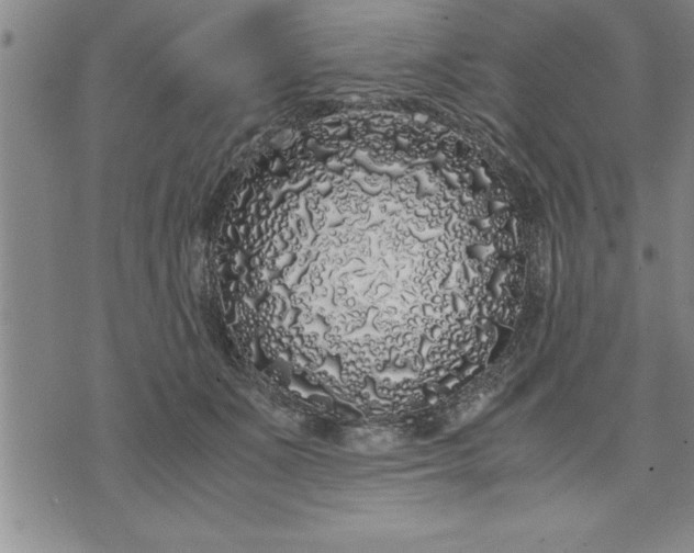 X0000071840511200607141728