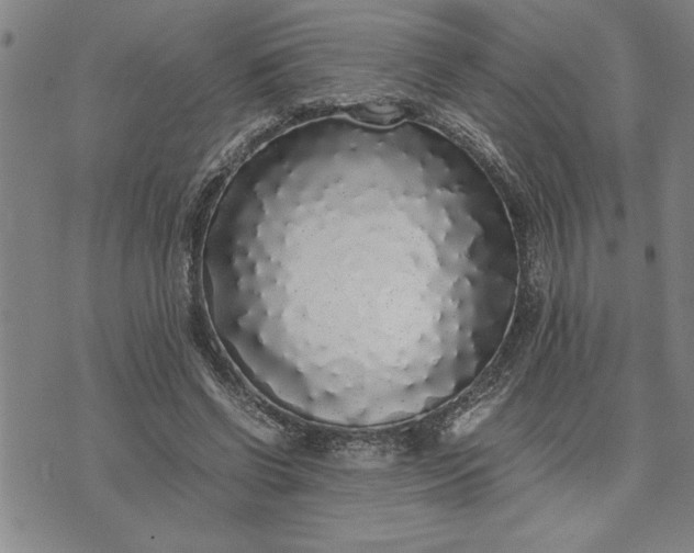 X0000071840542200607141728