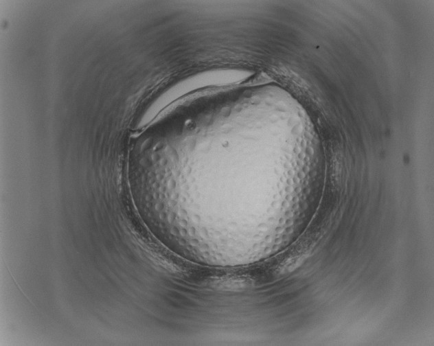 X0000071840545200607141728