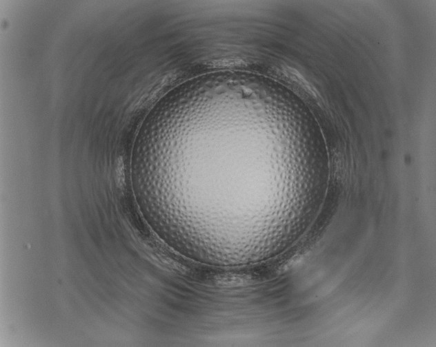 X0000071840549200607141728