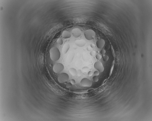 X0000071840550200607141728