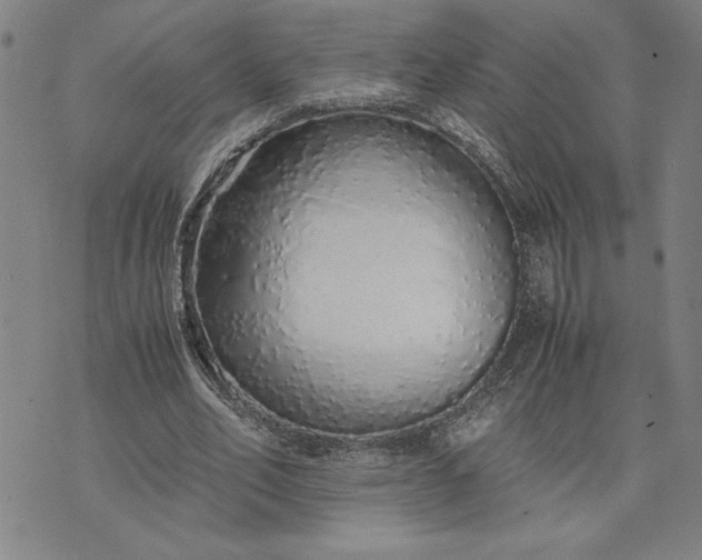 X0000071840582200607141727