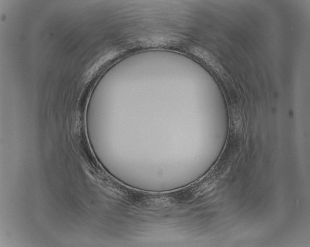 X0000071840583200607141727