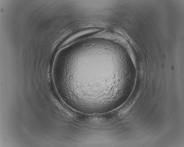 X0000071840585200607141727
