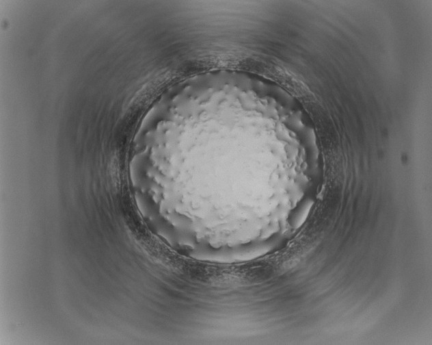 X0000071840594200607141727