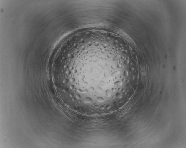 X0000071840628200607141726