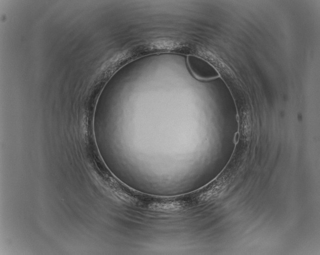 X0000071840639200607141726