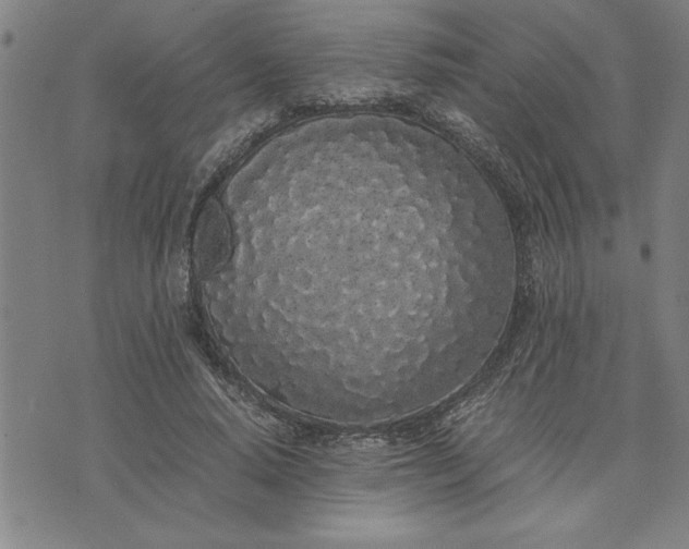 X0000071840640200607141726