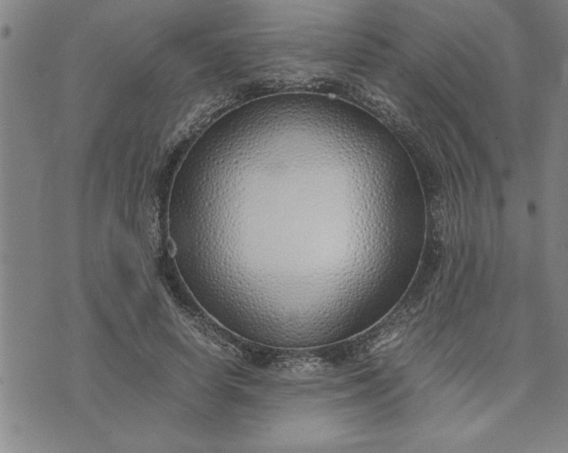 X0000071840642200607141726
