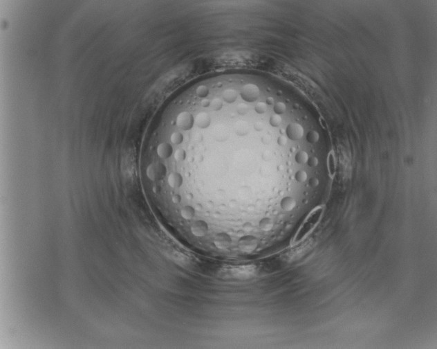 X0000071840665200607141726