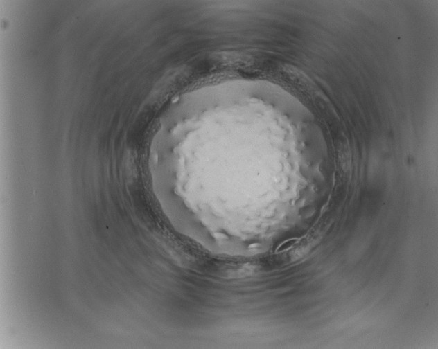 X0000071840667200607141726