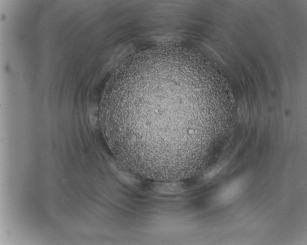 X0000071840671200607141727
