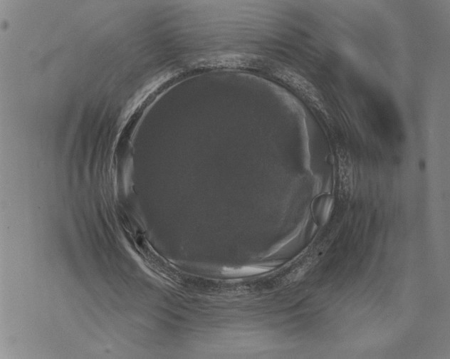 X0000071840674200607141726