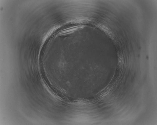 X0000071840678200607141726