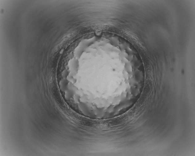 X0000071840687200607141726