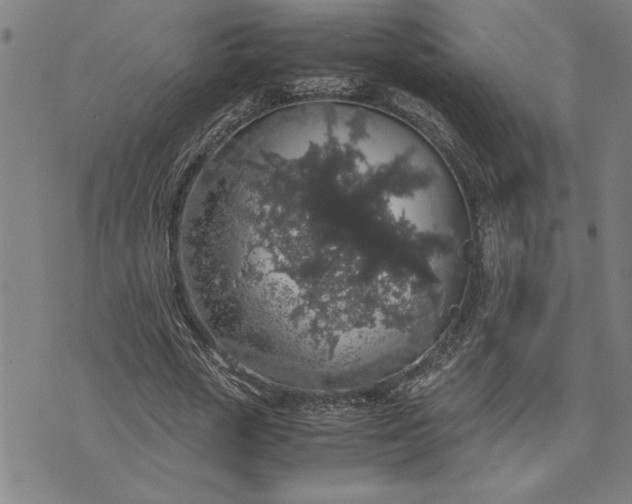 X0000071840729200607141724