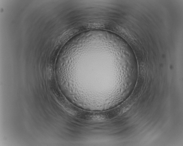 X0000071840741200607141725