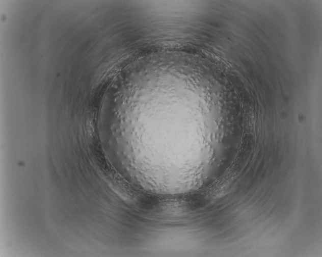 X0000071840746200607141725