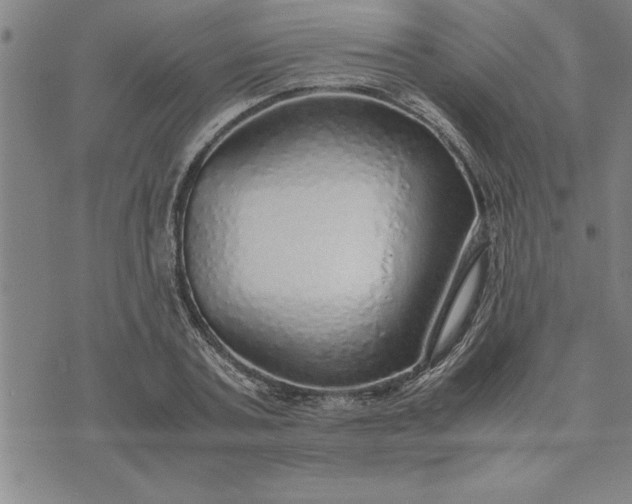 X0000071840787200607141724