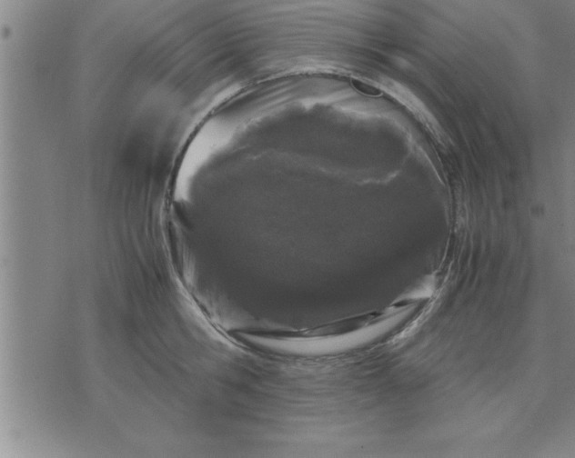 X0000071840806200607141724