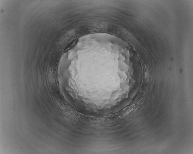 X0000071840819200607141723