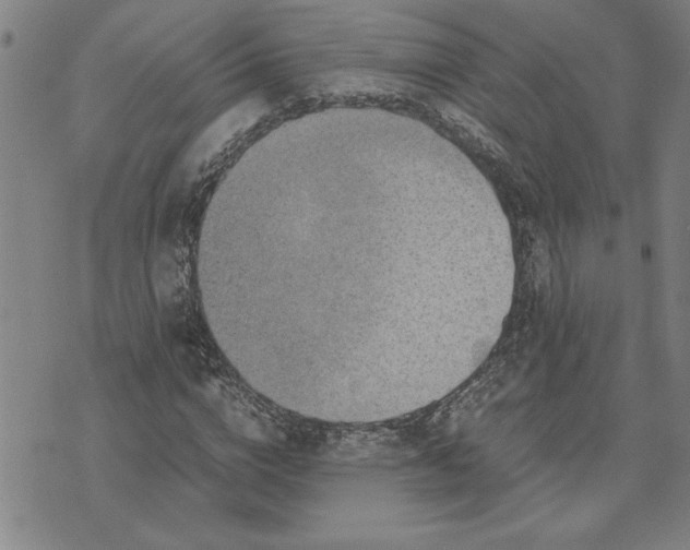 X0000071840824200607141723