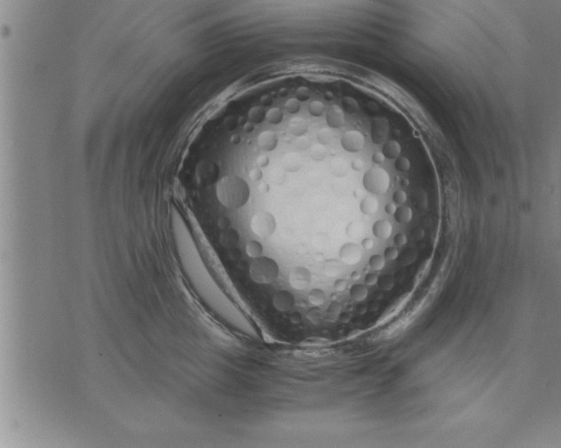 X0000071840857200607141723