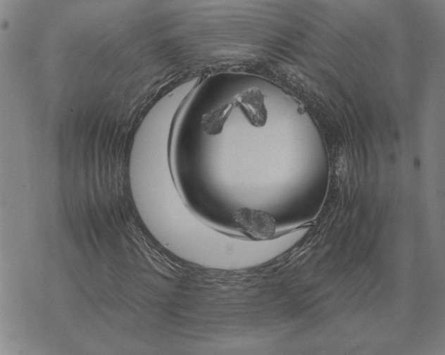 X0000071840868200607141723