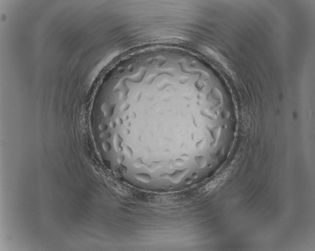 X0000071840875200607141722