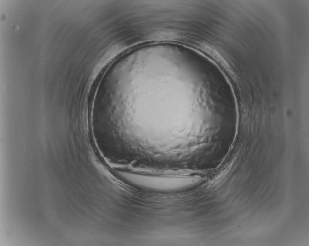 X0000071840939200607141722