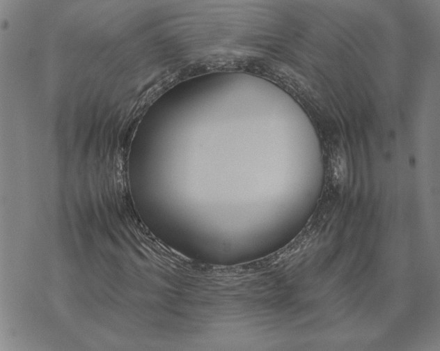 X0000071840964200607141721