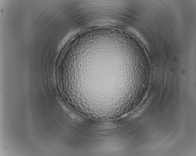 X0000071840986200607141721