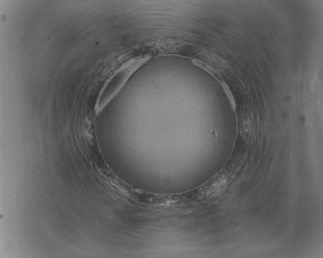 X0000071841010200607141720