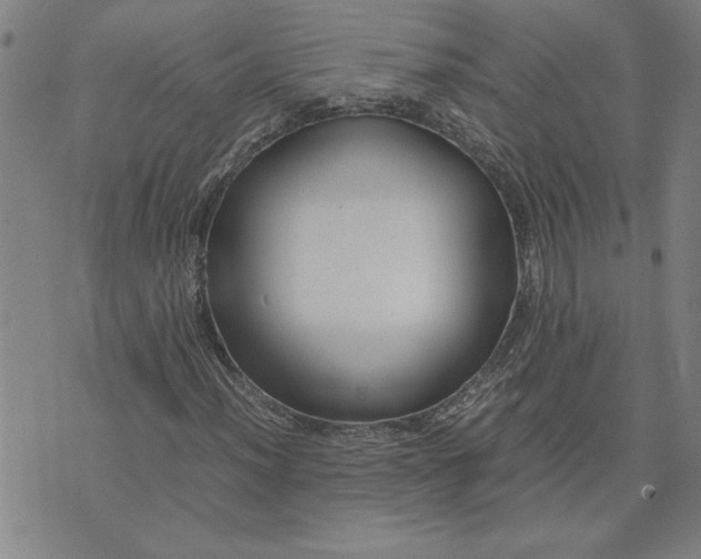X0000071841012200607141720