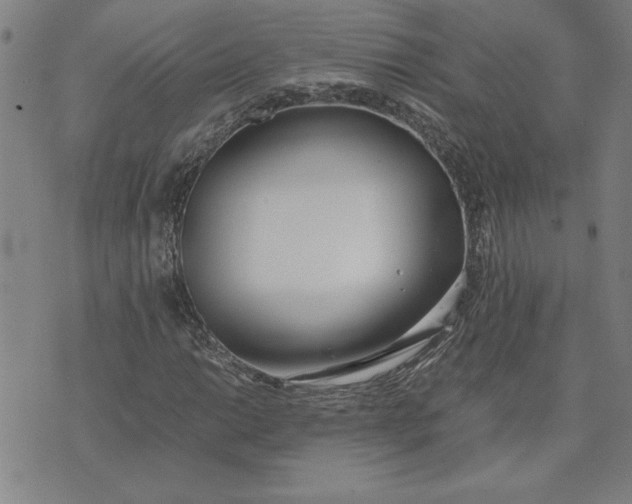 X0000071841014200607141720
