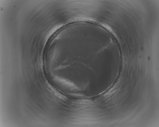 X0000071841024200607141720