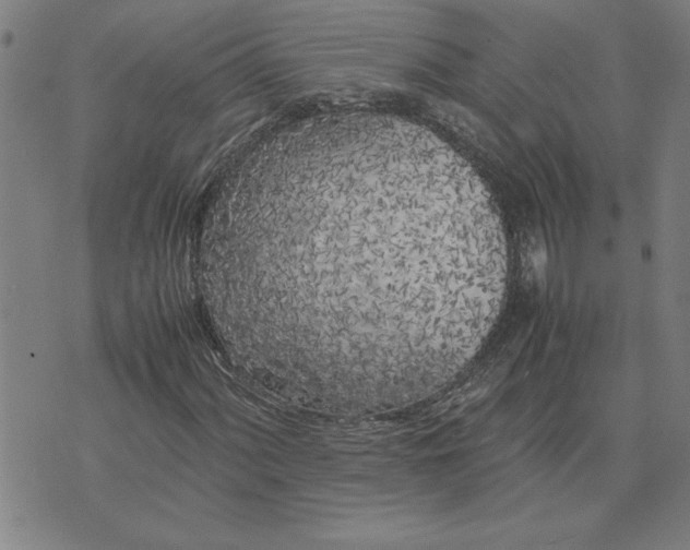X0000071841060200607141719
