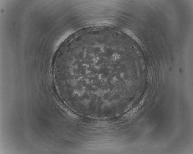 X0000071841071200607141719